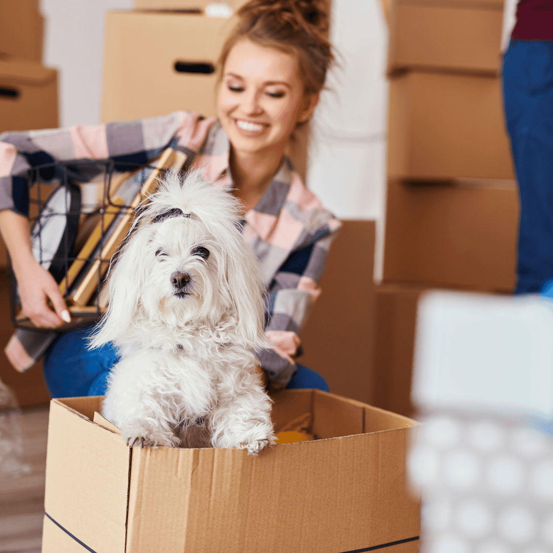 How to successfully move houses with pets