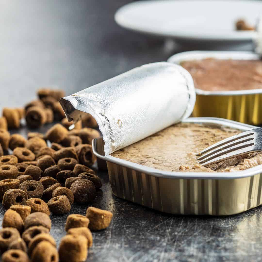 What are the key differences between wet pet food and dry food?