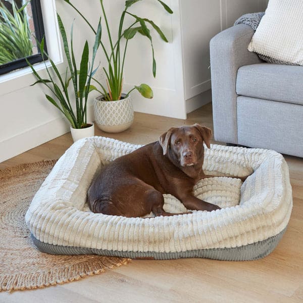 The best dog bed for your furry friend