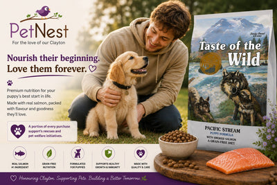 Puppy Food Foundations: A Guide to Nourishing Your New Best Mate