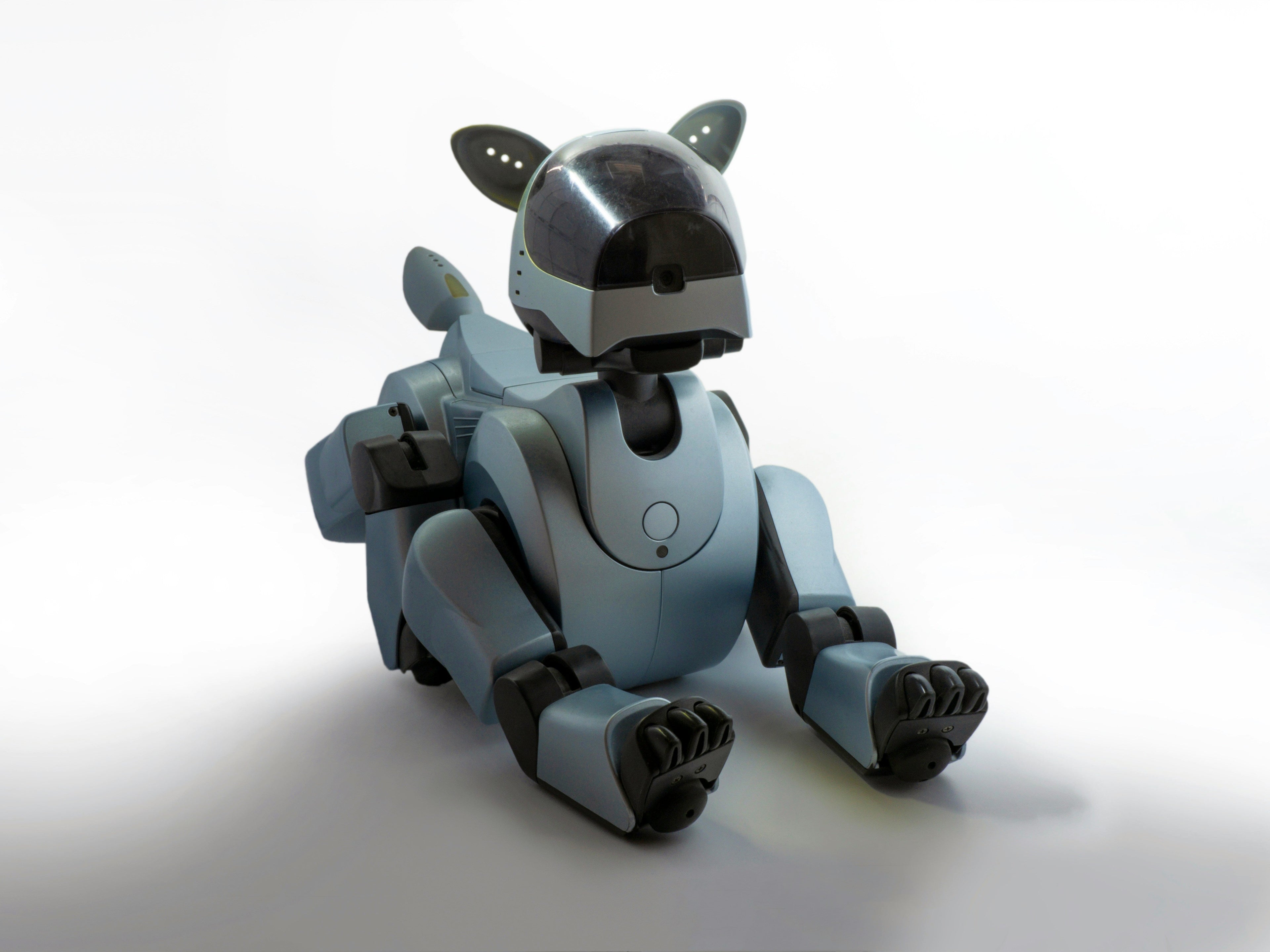 Is AI The Future Of Pet Care