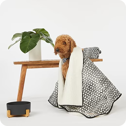 Beds & Blankets