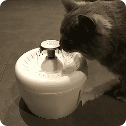 Feeders & Fountains