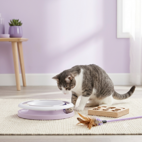 Cat Indoor Enrichment