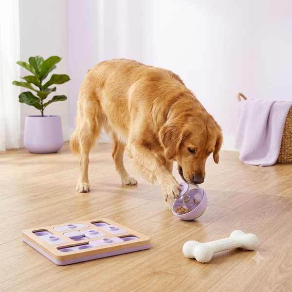 Dog Puzzle Toys & Boredom Busters