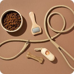 Leash