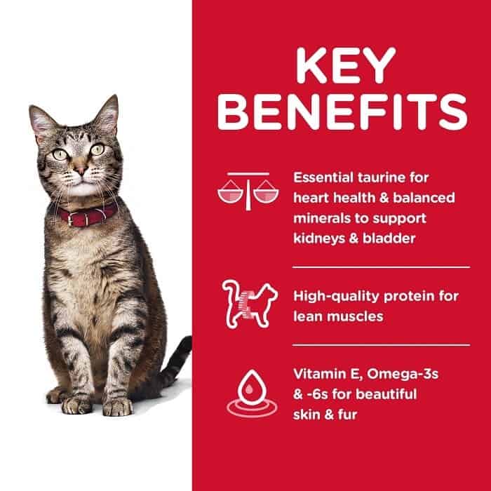 Hill's Science Diet Adult 1-6 Indoor Cat Food
