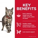 Hill's Science Diet Adult Cat Perfect Weight
