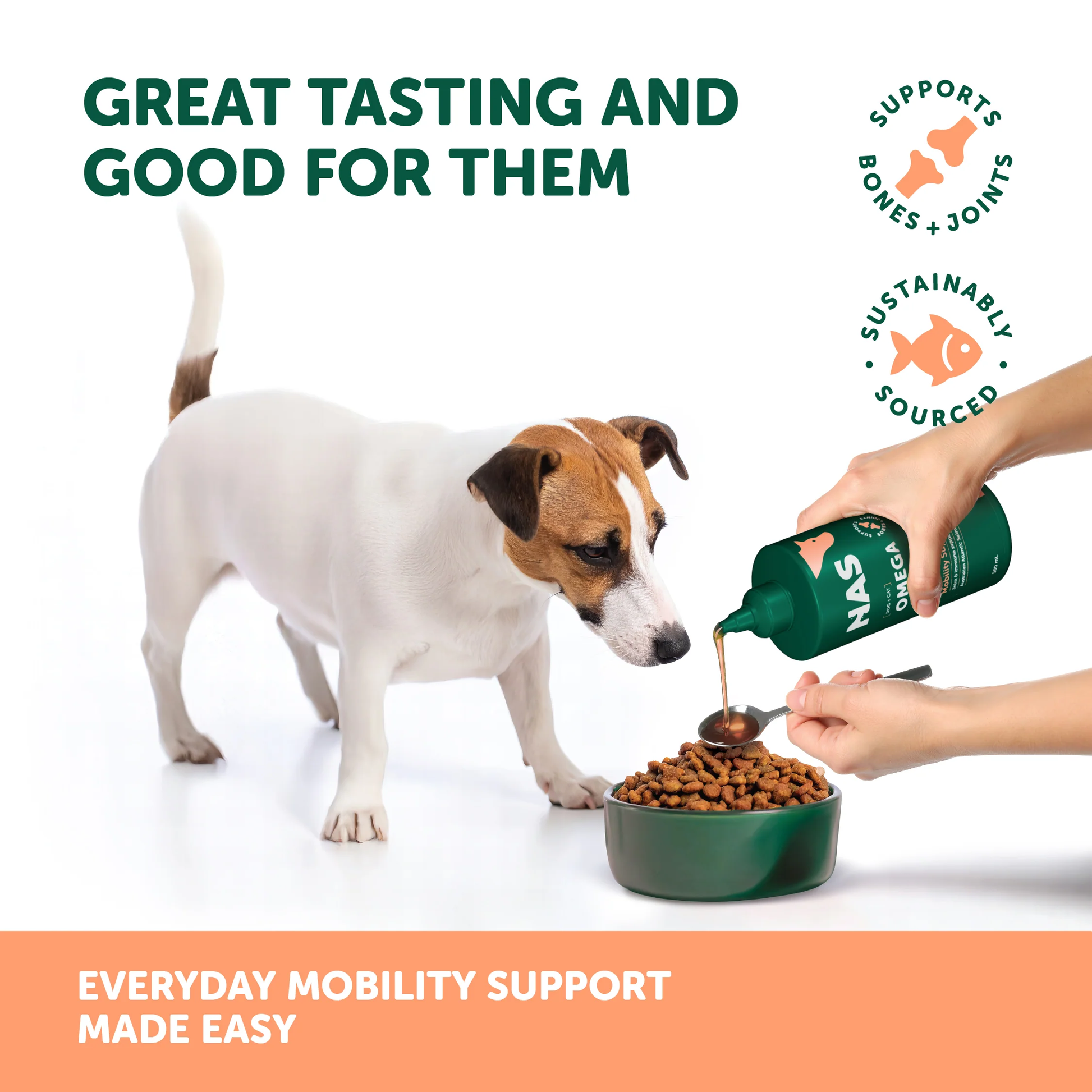 Natural Animal Solutions NAS Omega Oil - Salmon