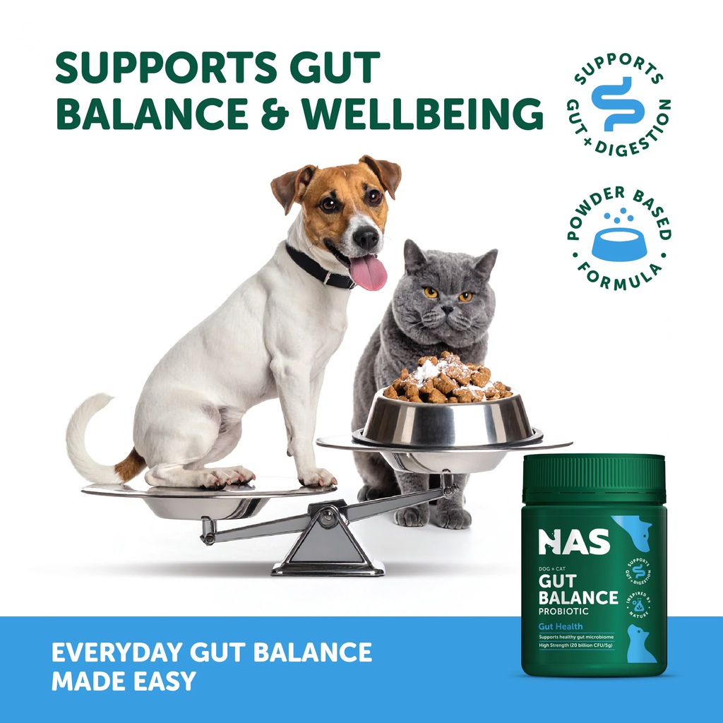Natural Animal Solutions NAS Gut Balance ProBiotic - Natural for Dogs and Cats