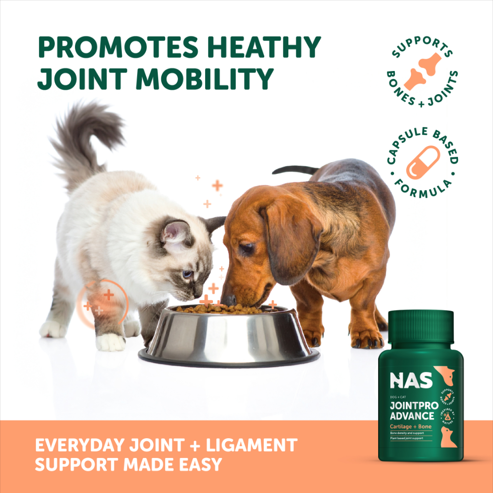 Natural Animal Solutions NAS Jointpro Advance™ 60 Tablets
