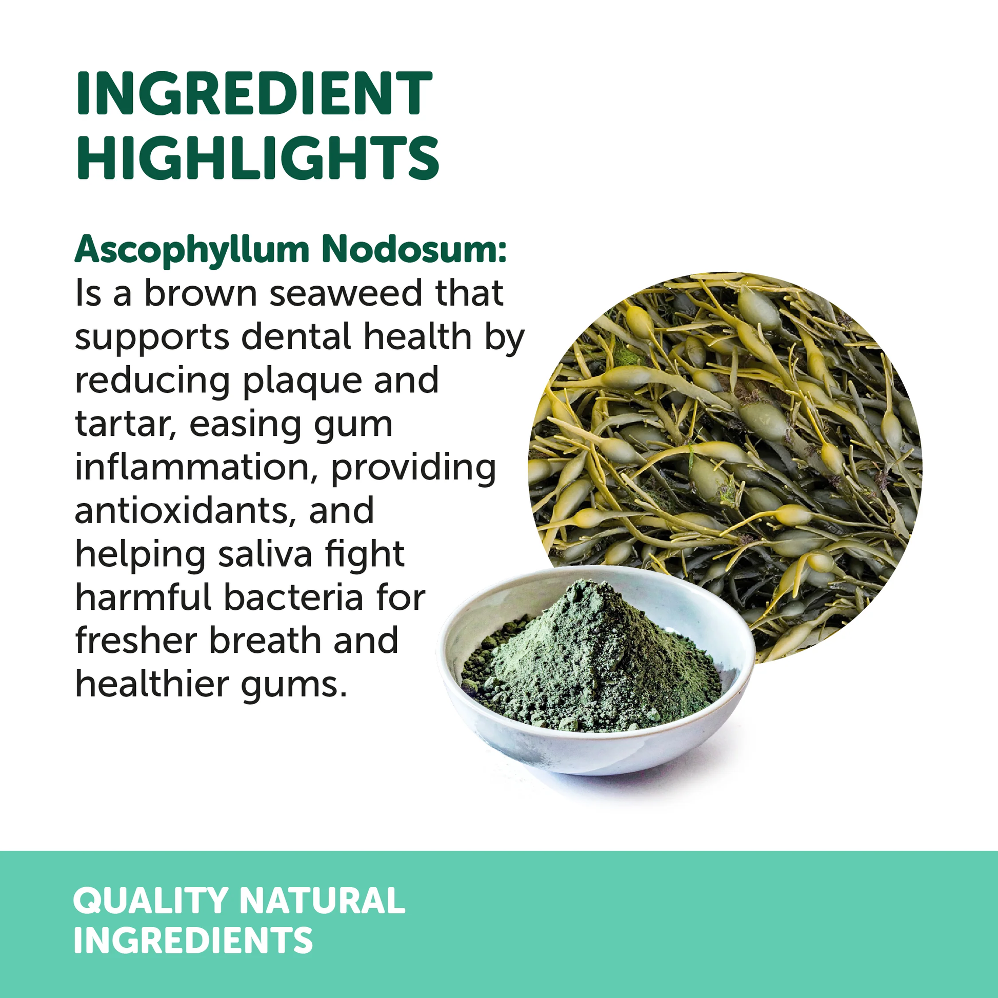 Natural Animal Solutions NAS Dental Powder