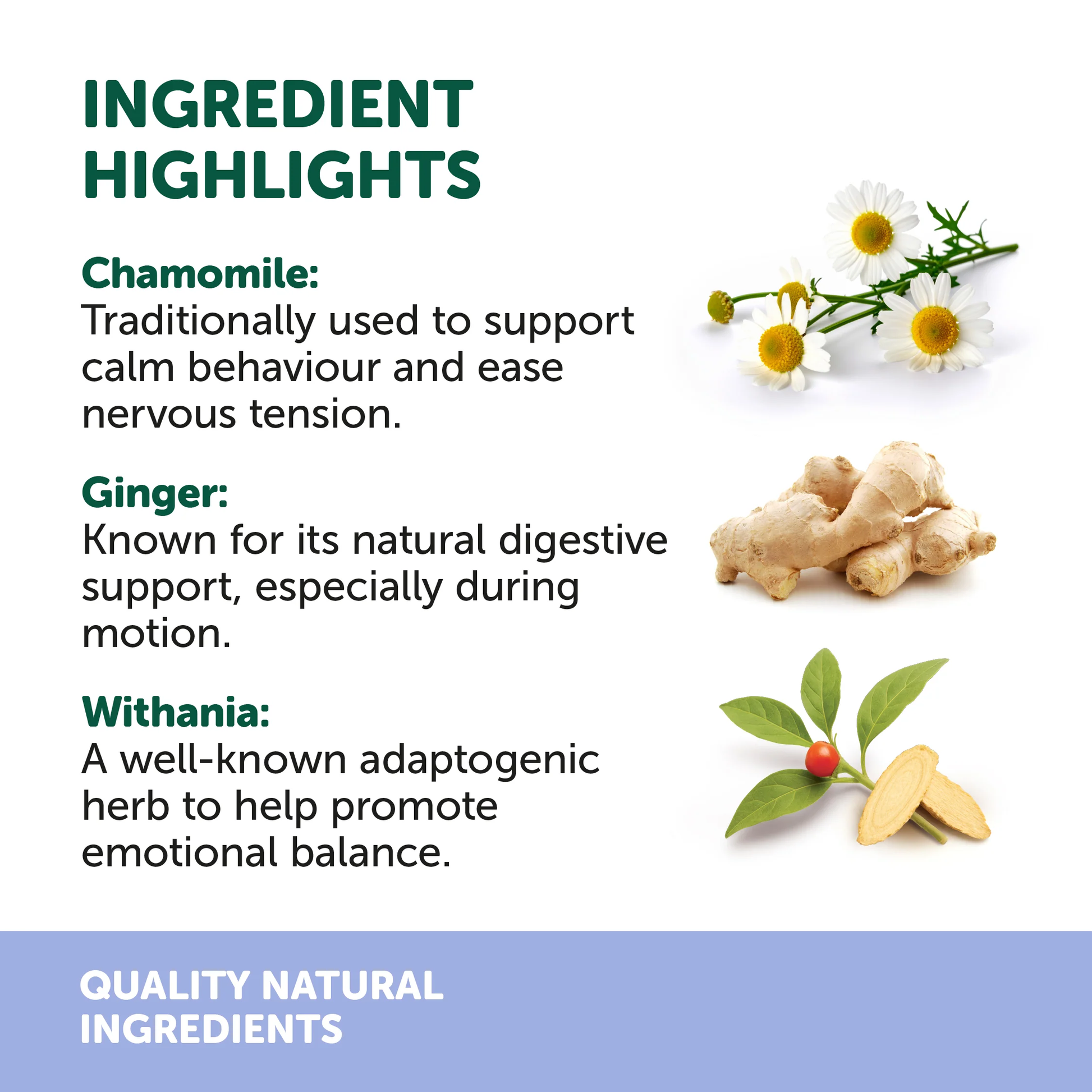 Natural Animal Solutions NAS TravelEze 100ml