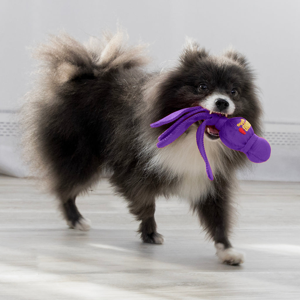 Kong Wubba Dog Toys - Assorted Colour