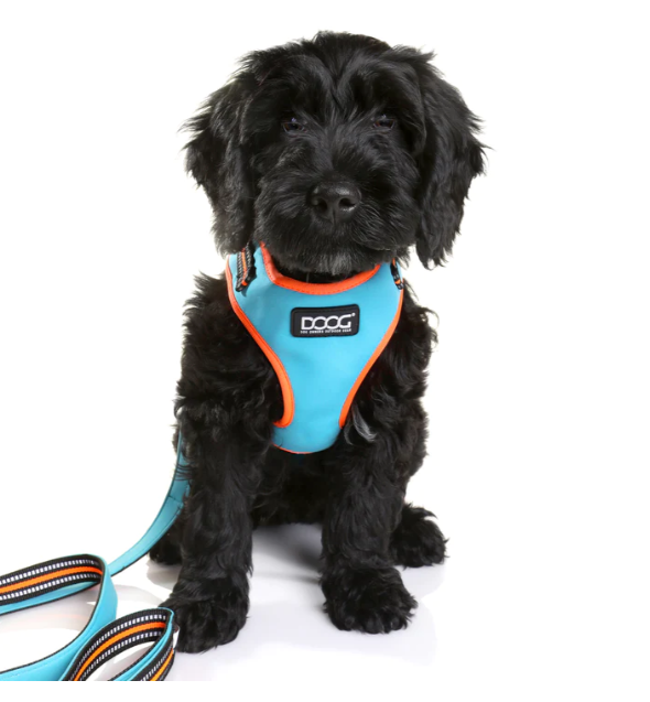 Doog Neoflex Dog Harness - Beethoven (Neon)