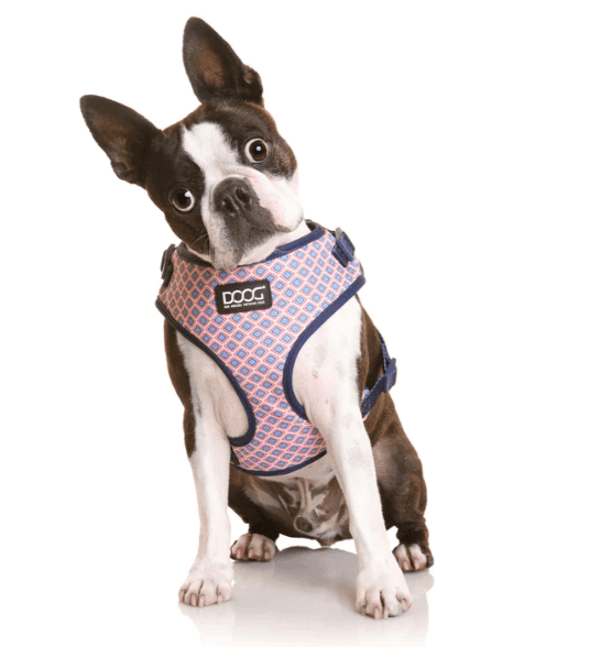 Doog Neoflex Dog Harness - Gromit