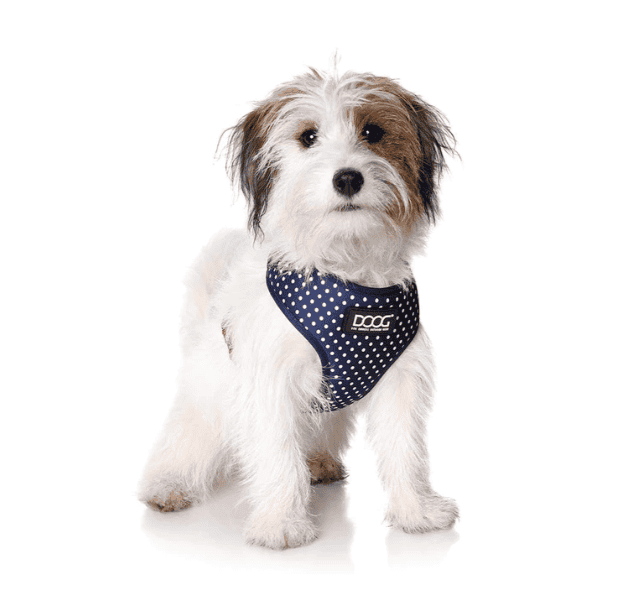 Doog Neoflex Dog Harness - Stella