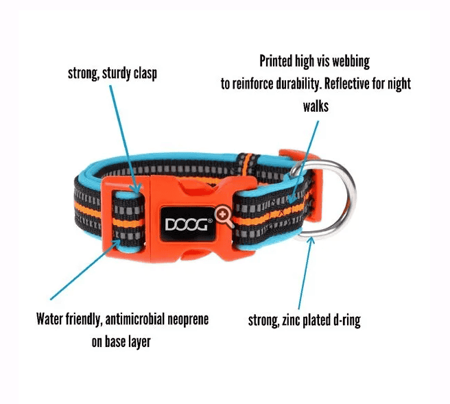 Doog Neoprene Dog Collar - Bolt (Neon)