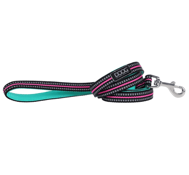 Doog Neoprene Dog Leash - Rin Tin Tin (Neon)