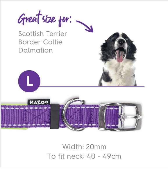 Kazoo Active Nylon Collar Large-Purple & Lime