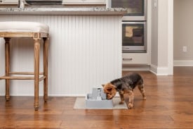 PetSafe Drinkwell 1.8L Pet Fountain
