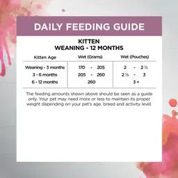 Ivory Coat Inspired by Raw Immunity Wet Kitten Food Pouch 85g 12 Pack