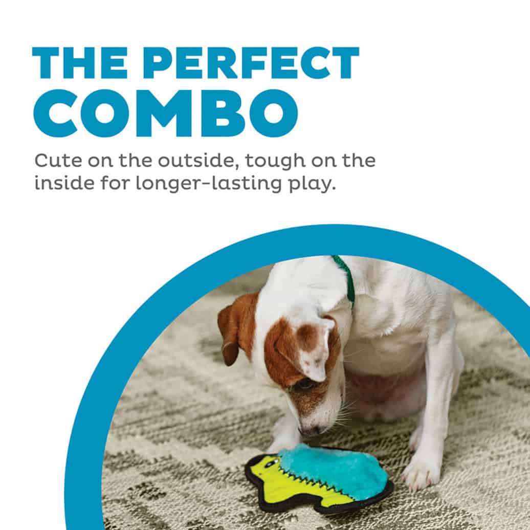 Outward Hound Dog Invincibles Mini Hedgehog Dog Toy