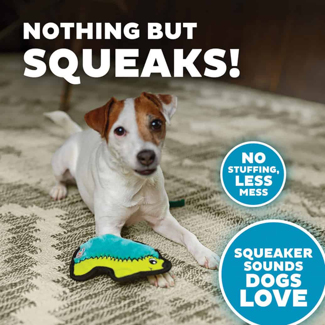 Outward Hound Dog Invincibles Mini Hedgehog Dog Toy