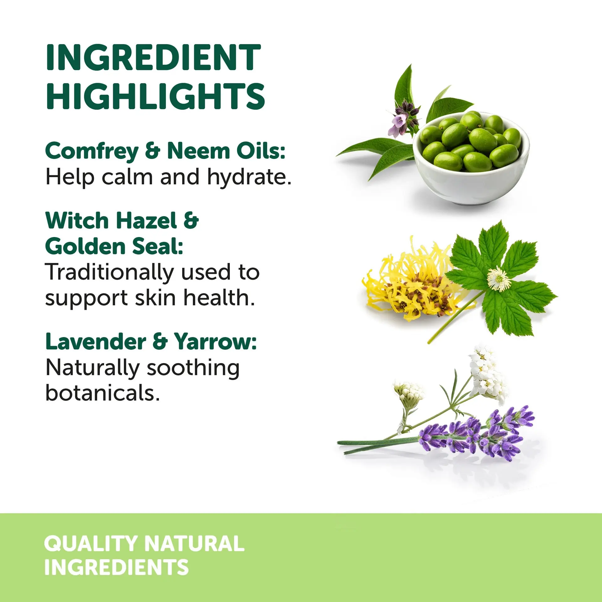 Natural Animal Solutions NAS Dermal Cream 60g