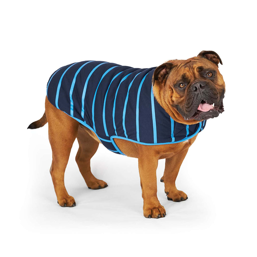 Kazoo Dog Blue Stripe Reversible Snuggie