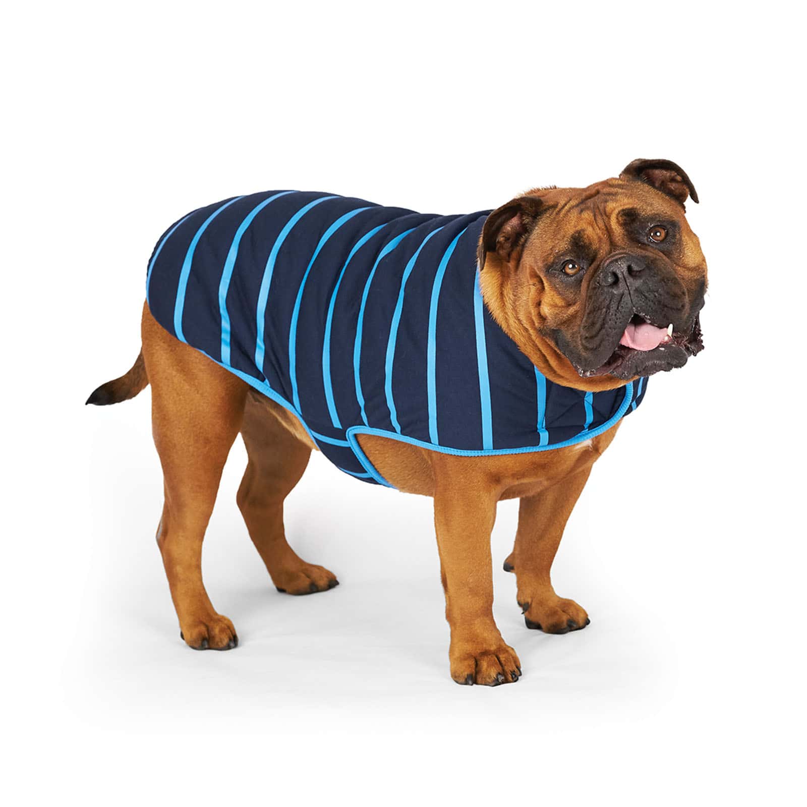 Kazoo Dog Blue Stripe Reversible Snuggie