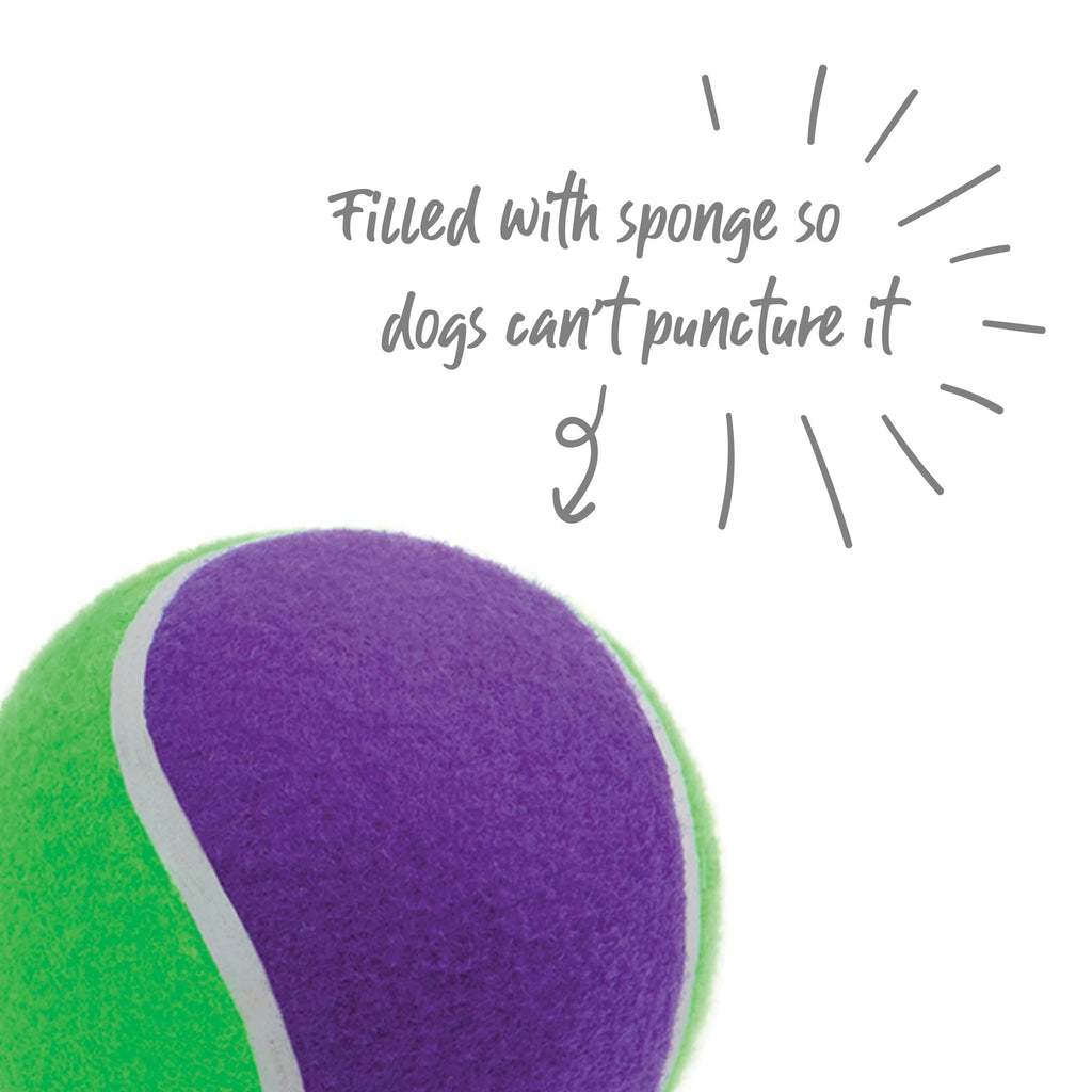 Kazoo Puncture Proof Sponge Tennis Ball