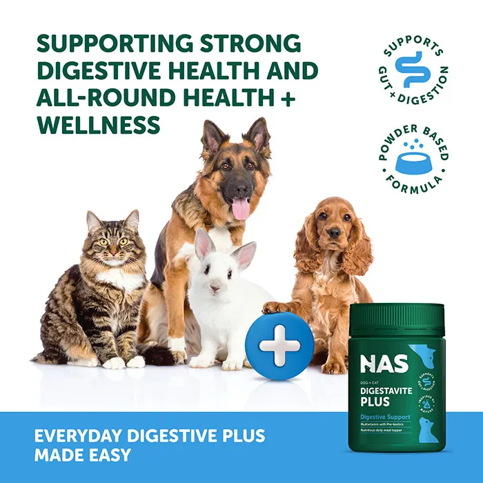 Natural Animal Solutions NAS DigestaVite Plus 100g