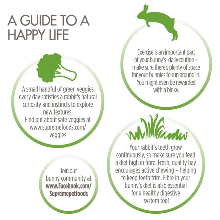 Science Selective Rabbit Food Junior 2kg