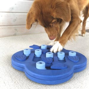 Nina Ottosson Dog Hide N Slide Prp