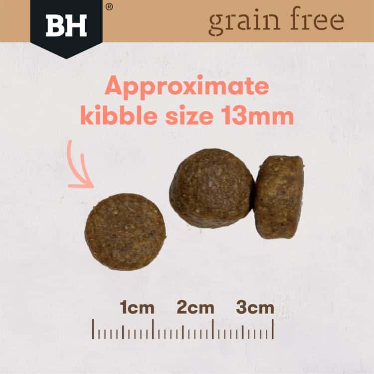 Black Hawk Dog Grain Free Salmon