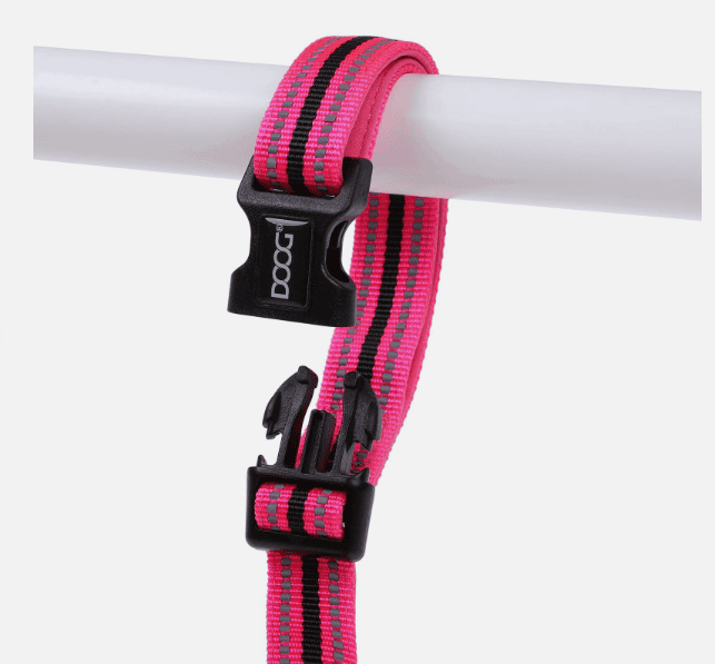Doog Neoprene Dog Collar - Lady (Neon)
