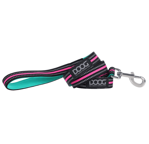Doog Neoprene Dog Leash - Rin Tin Tin (Neon)