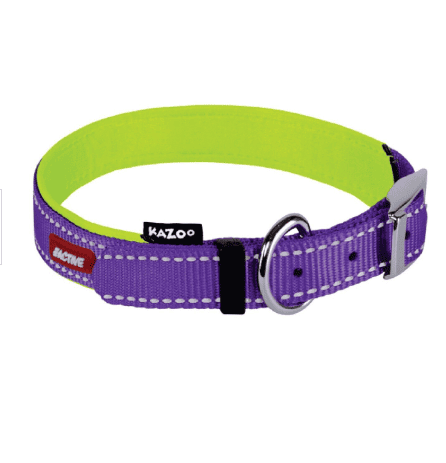 Kazoo Active Nylon Collar Large-Purple & Lime