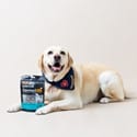 SavourLife Australian Salmon Dog Training Treats 165g