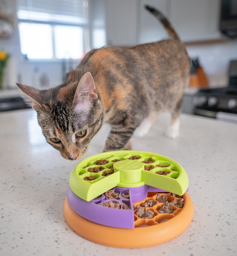 Nina Ottosson Kitty Lickin' Layers Cat Fun Feeder Treat Puzzle