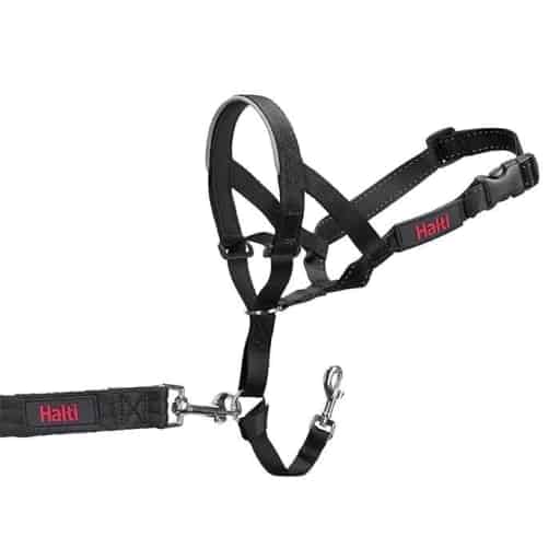Halti Headcollar Black