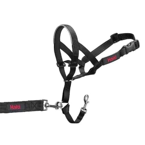 Halti Headcollar Black
