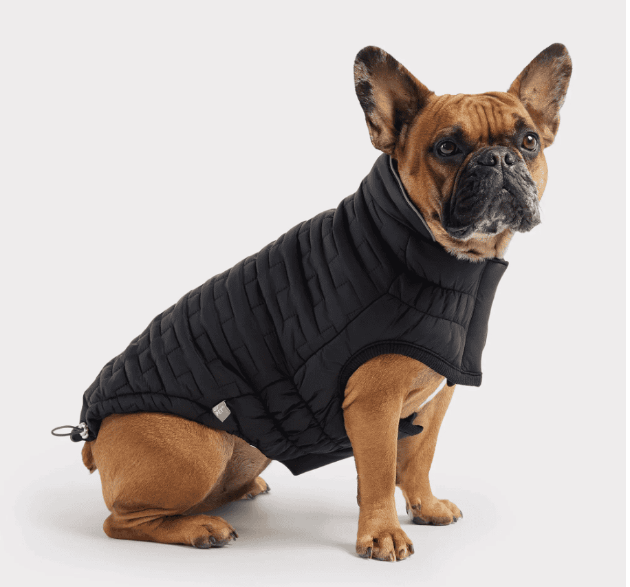 GF Pet Elasto-Fit® Reversible Chalet Jacket - Black