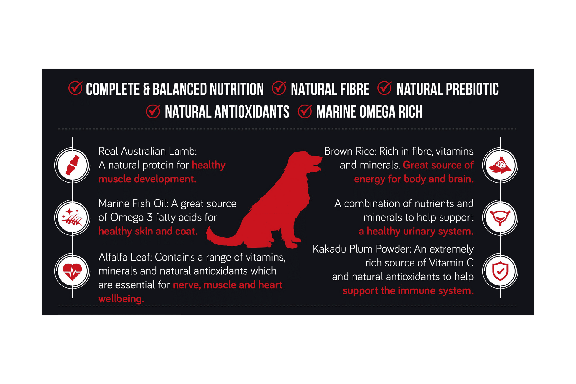 Talentail Premium Lamb with Brown Rice Dog Food