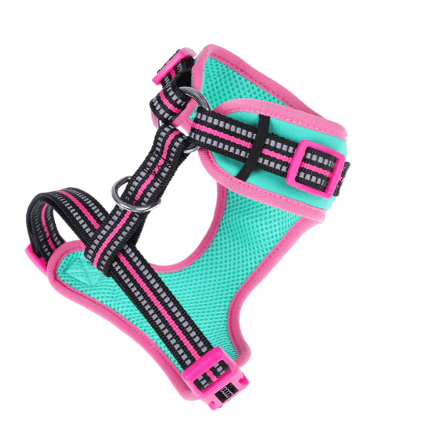 Doog Neoflex Dog Harness - Rin Tin Tin (Neon)