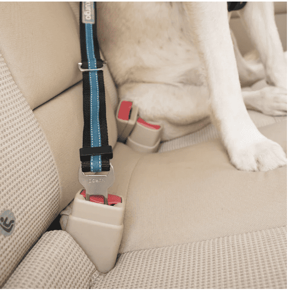 Kurgo Direct to Seatbelt Tether - Blue