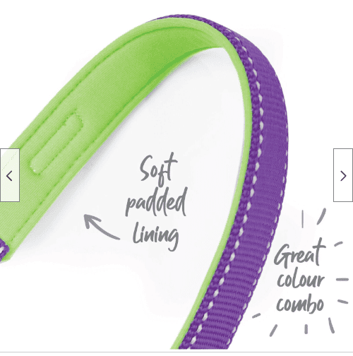 Kazoo Active Nylon Collar Large-Purple & Lime