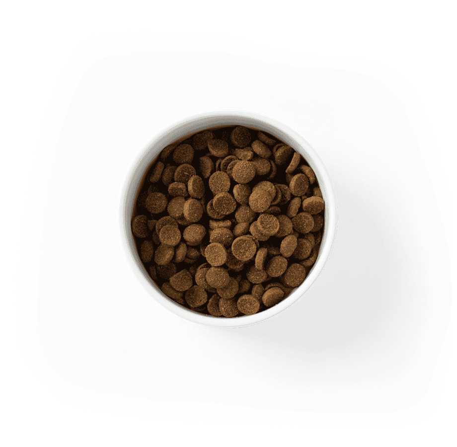 SavourLife Essentials Adult Dog Food Beef