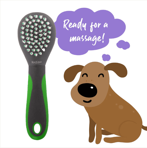Kazoo Puppy Brush Soft